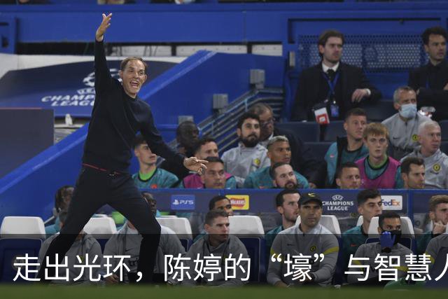 走出光环，陈婷的“壕”与智慧人生